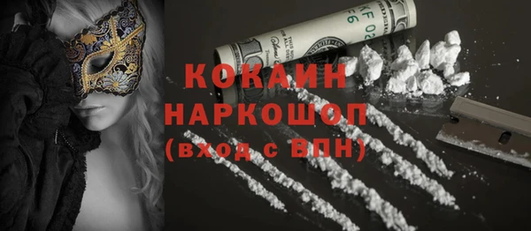 сатива Осташков
