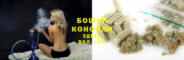 сатива Осташков
